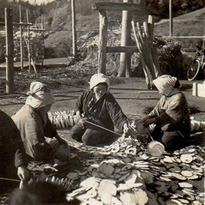 画像:常陸大子のコンニャク栽培用具及加工用具（昭和30年代の風景）
