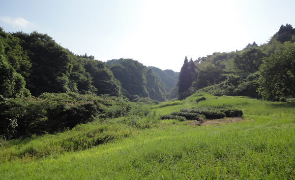 画像:地獄沢（生瀬乱）