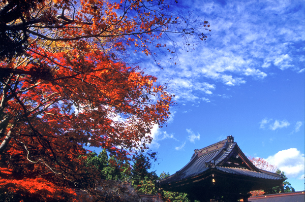 画像:永源寺（もみじ寺）