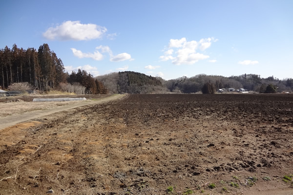 画像:手平内遺跡