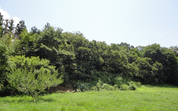 画像:仲山古墳群（遠景）