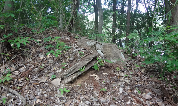 画像:仲山古墳群（４号墳）