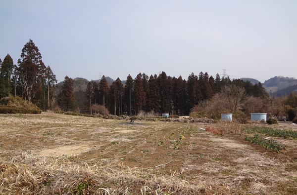 画像:町付城跡