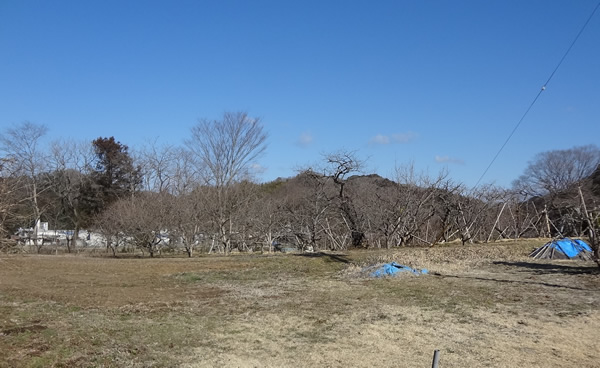 画像:池田古館跡